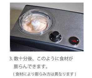 アイスクリーマー
